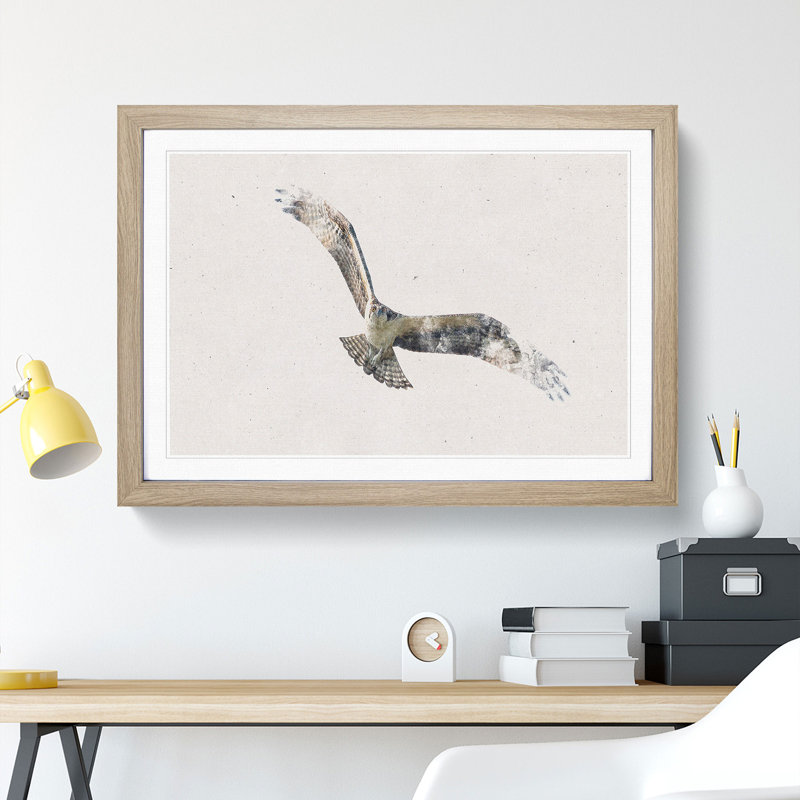 Osprey Bird - Framed Print, 45cm H x 63cm W x 2cm D, Oak Framed