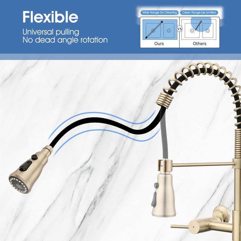 Casa Eclat Pull Down Kitchen Faucet, Brushed Gold