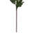 Primrue 30" Green Cedar Fern Artificial Spray 2/Bag. Features green cedar foliage.