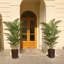 Adcock UV Resistant Artificial Palm Tree, Faux Palm Tree with Decorative Base for Indoor Outdoor-234380061-234380131