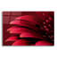 Épique «Petals Of A Red Gerbera» par Tom Quarterm «Petals Of A Red Gerbera» par Tom Quartermaine