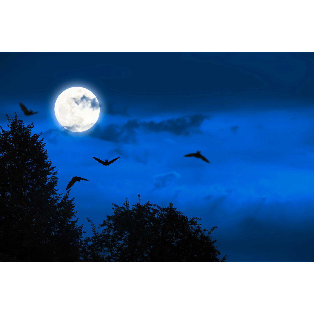 " Mystic Halloween Background " by Winyuu Ebern Designs 