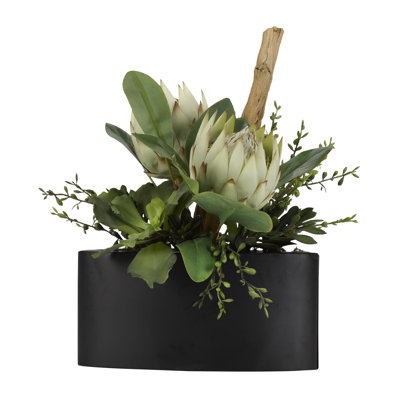 Protea Arrangement in Planter