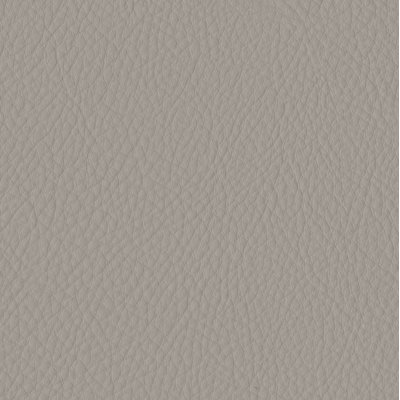 Elan LightGrey Sample