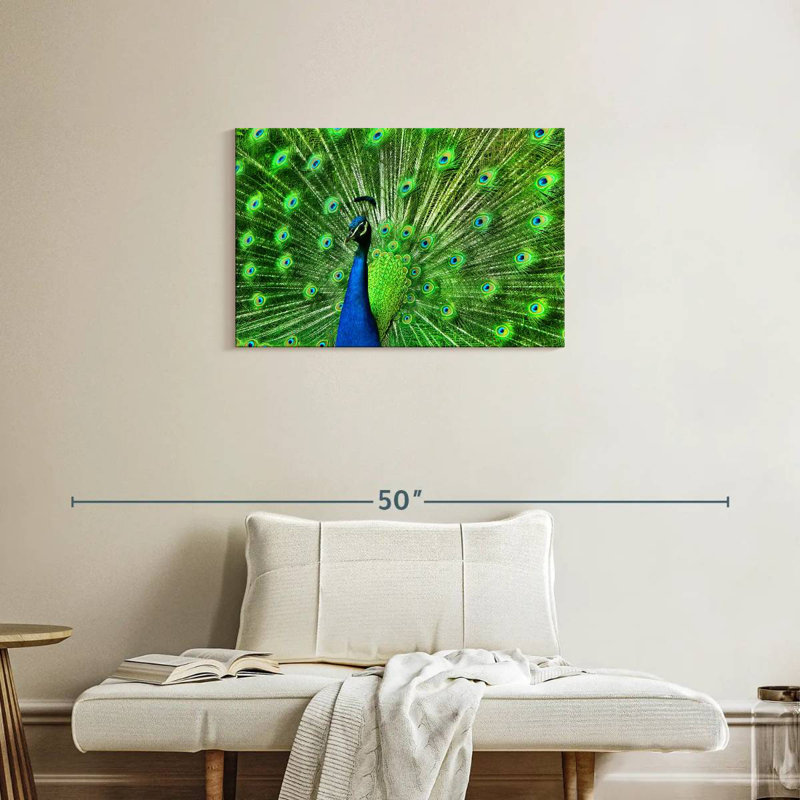 Plume de paon vert Bramtr Chartreuse, H 20 po x l 30 po