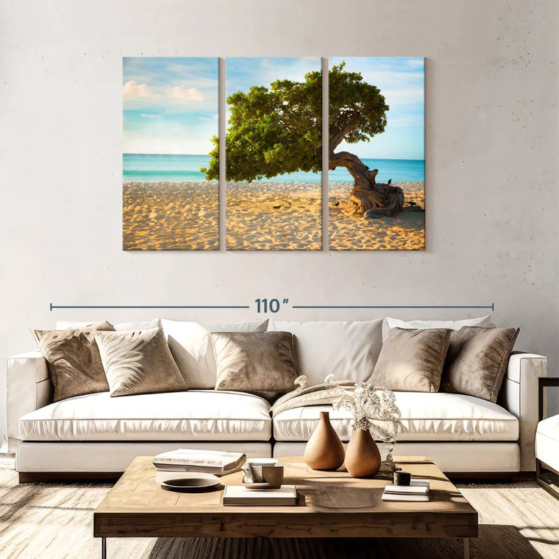 Arbre Gillard Divi-Divi à Aruba, H 48 po x l 74 po