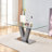 Anike Glass Top Dining Table