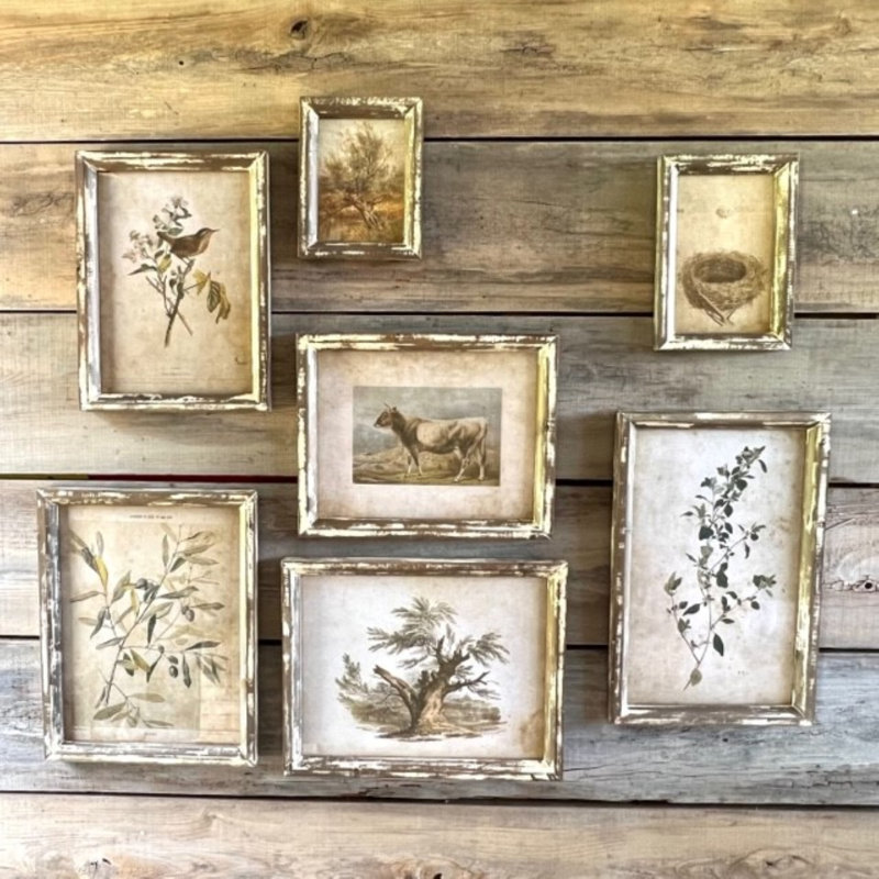 Old Olive Farm Collected Prints Set of 7