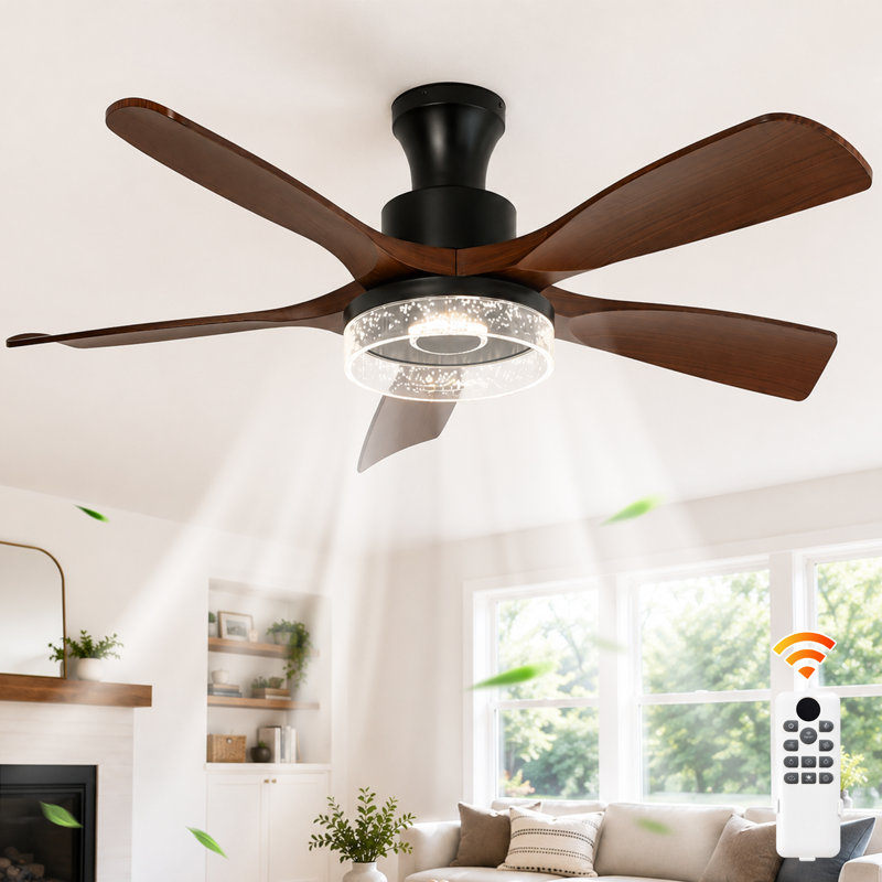 Ceiling Fan