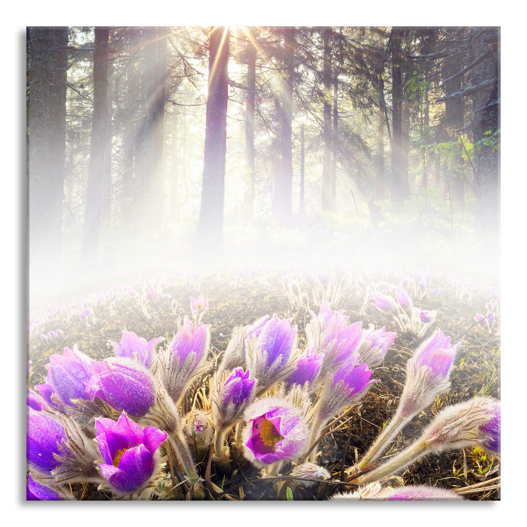 Glasbild Lila Blumen im Wald