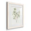 Simple Sprig I - ensemble de 4 reproductions de cadres photo-2075732640-2075732641