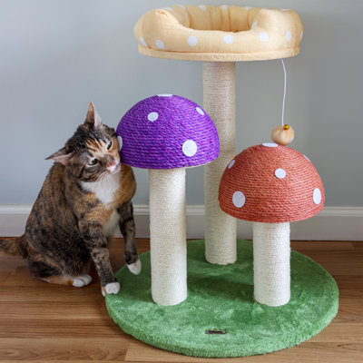 Arbre à chat H 22,5 po Endra