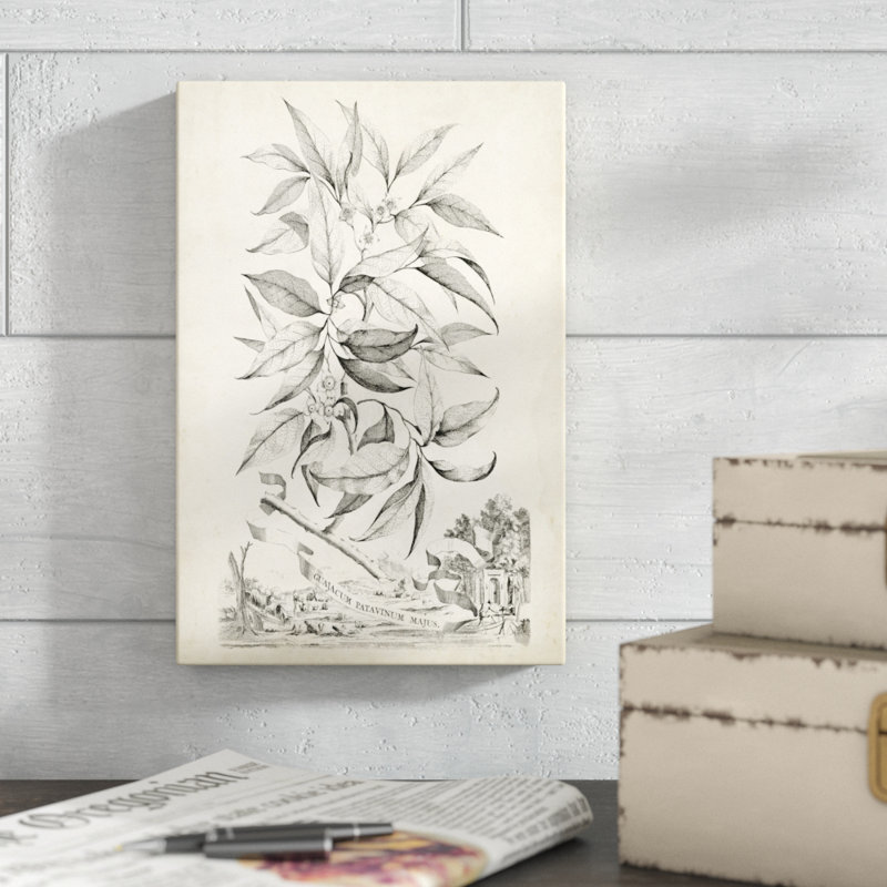 «Scenic Botanical IV», impression sur toile, H 12 po x l 8 po