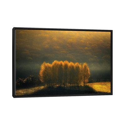 Morning Light by Anghel Rusu - Print on Canvas
