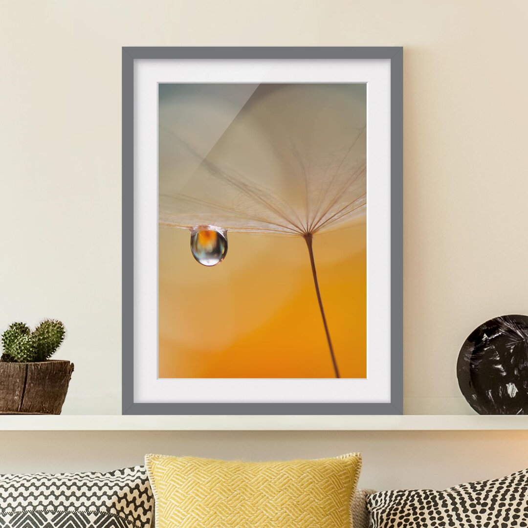 Gerahmtes Papierbild Pusteblume in Orange