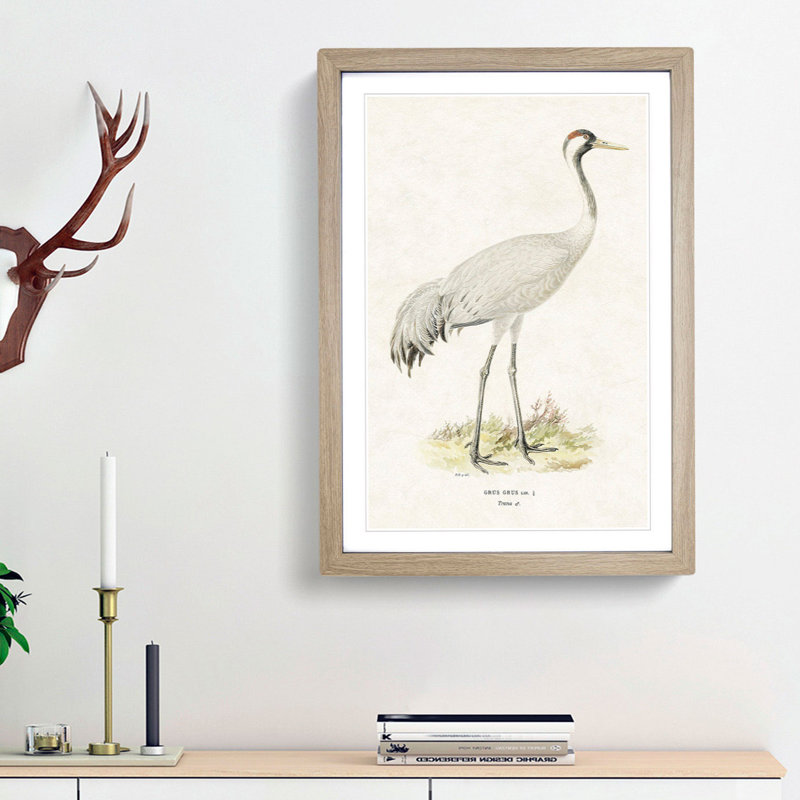 Common Crane by Von Wright - Picture Frame Painting Print, Oak Framed, 48cm H x 36cm W x 2cm D