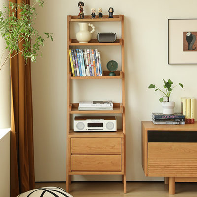 Nordic style simple storage bookcase