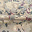 Valentina Fabric