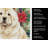 Cream Chow Chow Christmas PoinsettIas Kitchen Towel-2080584115