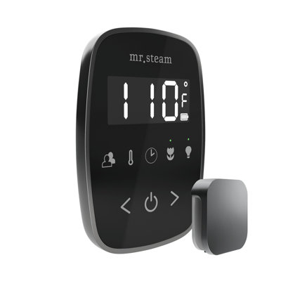 TempoFlex Steam Shower Control and Steamhead 