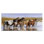 «Horse Herd in River», art mural sur toile par Victoria Schultz