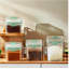 Means Food Storage Container