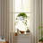 Rosaria Ceramic Hanging Planter-1340959066-1290618981
