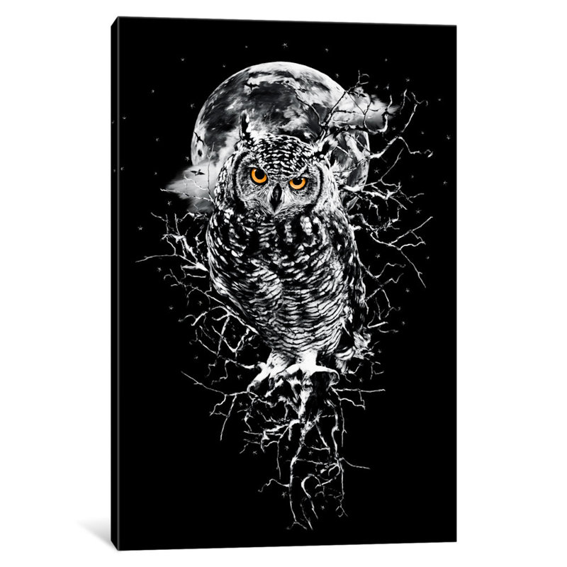 «Owl in B&W» par Riza Peker - impression sur toile tendue, H 12 po x l 8 po x P 0,75 po, Toile tendue, Pas de tapis