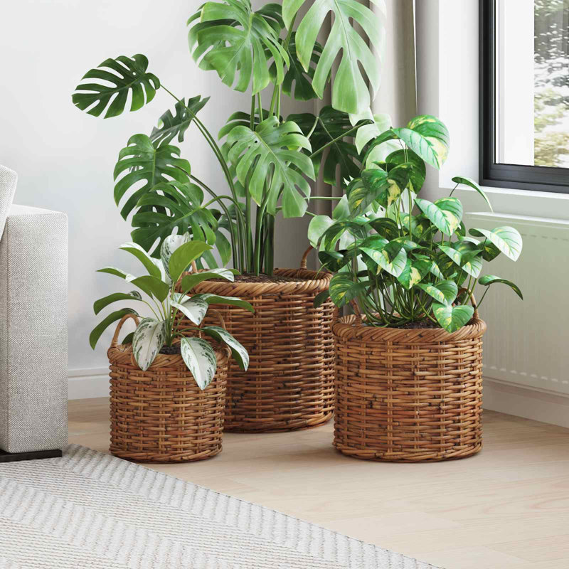 Bloomsbury Market Kubu Rattan Box, Brown