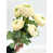 Blanc sélectionné