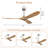 Nicola 60" Ceiling Fan with Remote Control-747933276