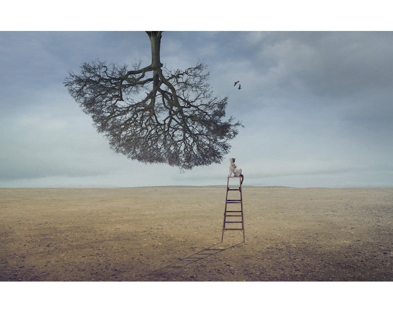 Wrapped Canvas Print, 50.8 cm H x 76.2 cm W