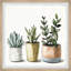 «Green Ornament Plants», reproduction encadrée-1141004051