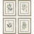 Astragalorum Framed Art