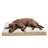 Orthopedic Polyester Pet Bed-51304728-51304733