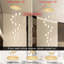 14 - Light Dome Crystal Chandelier-461830785