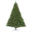 Oregon Christmas Tree-715030354