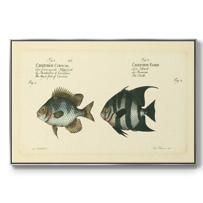 Bloch Antique Fish II, reproduction d'art sur toile, H 25 po x l 37 po x P 2 po, Argent