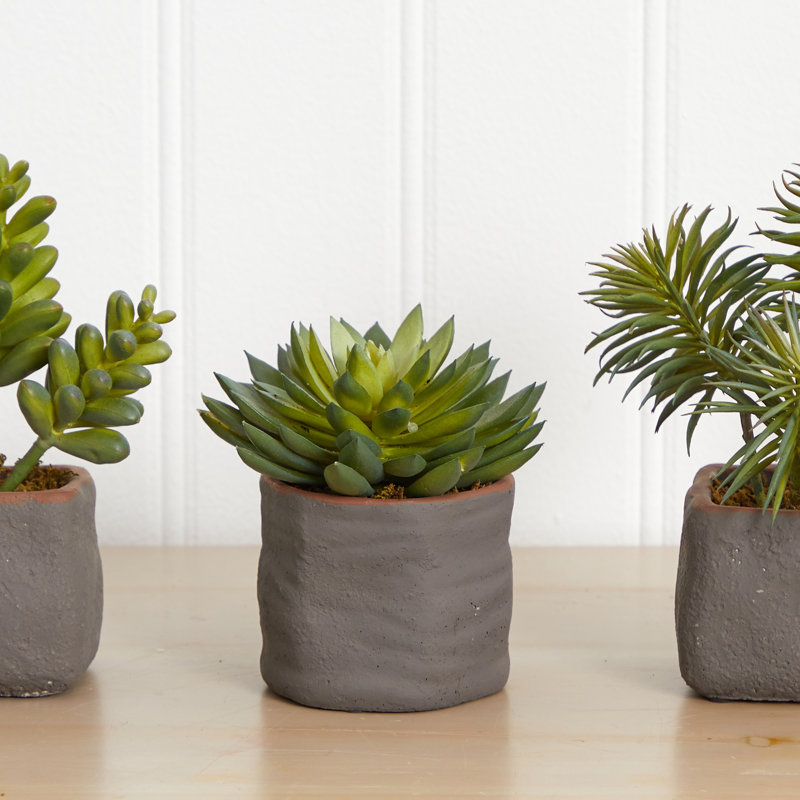 Ensemble de plantes grasses artificielles 3 pièces