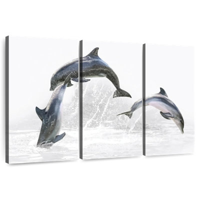 Brampt Three Dolphins