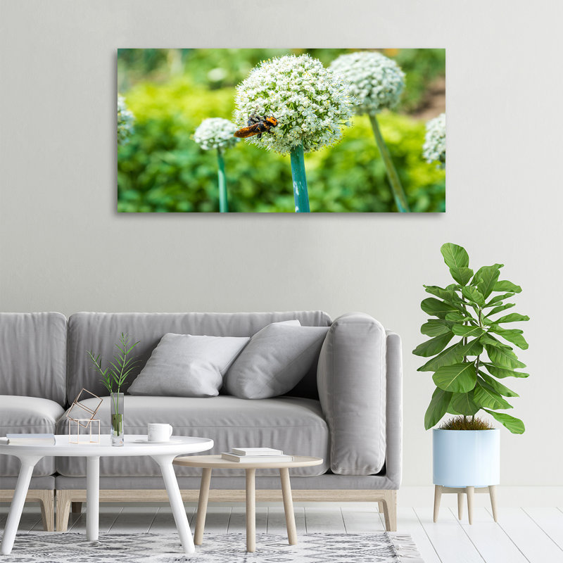 Blooming Garlic - Print, Canvas, 50cm H x 100cm W x 2cm D