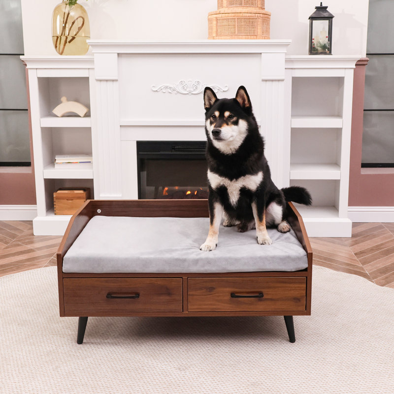 Tucker Murphy Pet™ Modern Dog Sofa Bed With Drawers & Reviews | Wayfair