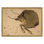 Taurus Print by Grand Archives