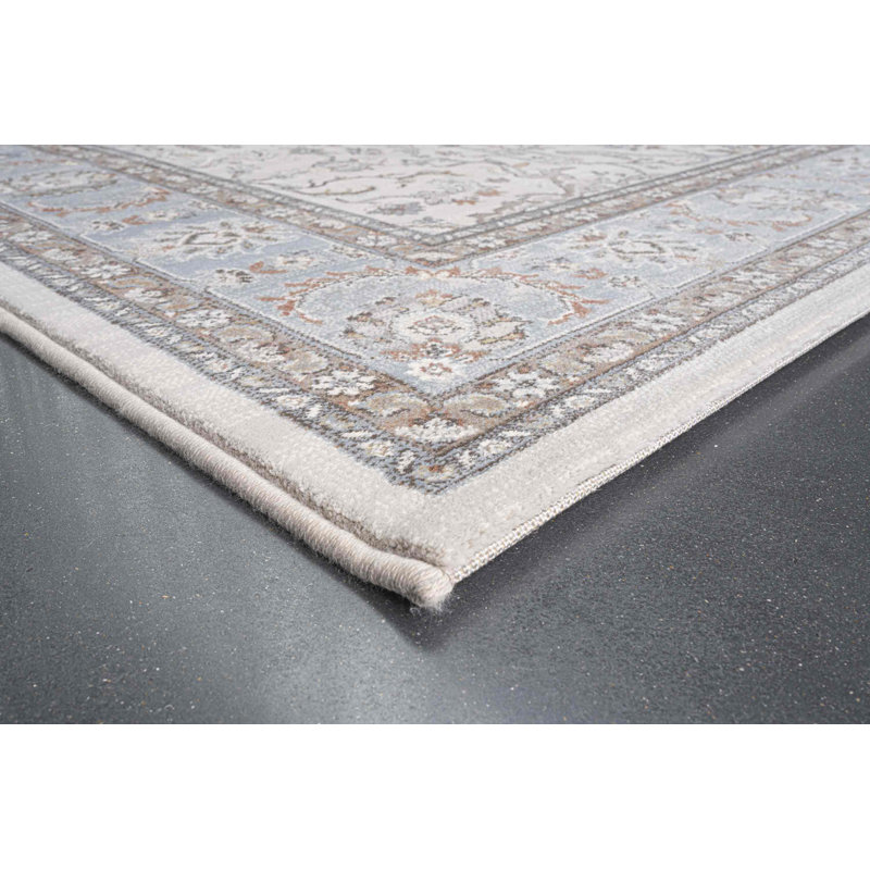 Meeks Oriental Area Rug, Rectangle 200 x 290 cm