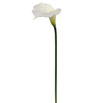 Tige de lys Calla