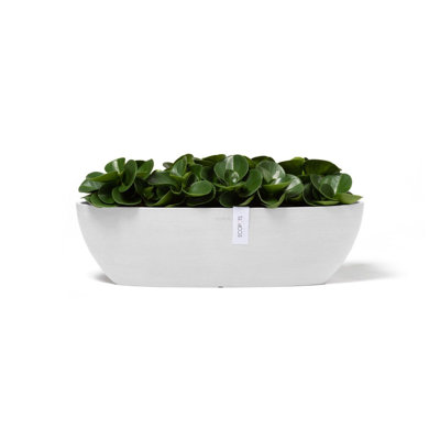 Jardinières en pot