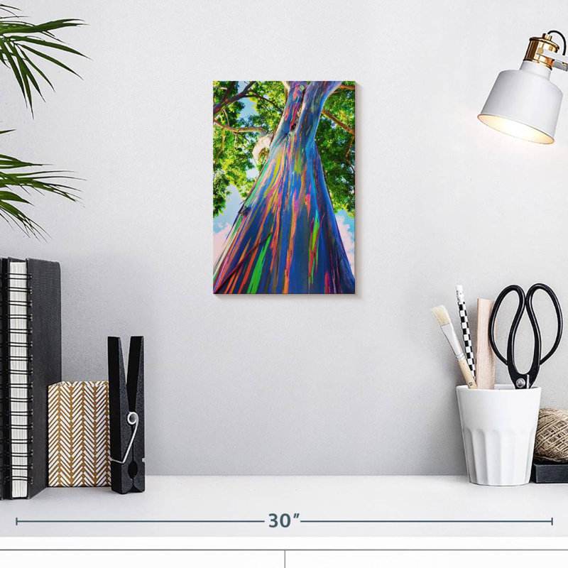 Harnek Hawaiian Rainbow Eucalyptus Tree, 12" H x 8" W