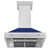 Satin Stainless Steel/Blue Gloss