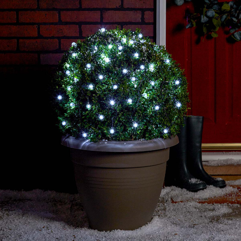 Indoor / Outdoor String Lights, White