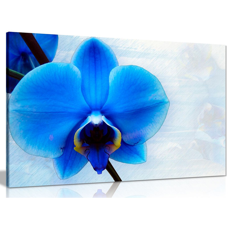 Wrapped Canvas Painting, 61cm H x 91cm W